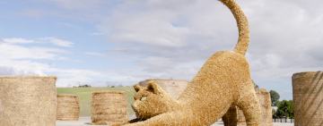 喵樂園來了 ! 富里稻草藝術季今日開幕、紀錄片首映